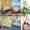 Кроватки, манежи, стульчики для кормления новые и б/у - Изображение #1, Объявление #7264