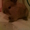 Декаротивный кролик - Изображение #1, Объявление #27463