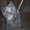 Британские котята шоу класса редкого окраса  - Изображение #4, Объявление #134453