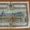 облигации 1953,1955,1956 - Изображение #2, Объявление #258251