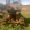 Трактор пропашной Т-70СМ - Изображение #3, Объявление #271461