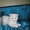 Шотландские вислоухие котята и страйты, черный мрамор на серебре и белый - Изображение #2, Объявление #300781