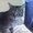 Найден серый, полосатый кот - Изображение #5, Объявление #554784