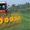 Грабли поперечные,боковые тракторные - Изображение #3, Объявление #533500