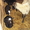 Овцы и ягнята романовской породы - Изображение #3, Объявление #606258