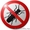 Уничтожение насекомых,грызунов,клещей - Изображение #1, Объявление #905714