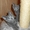 Котята породы русская голубая #927025