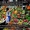 Оптовая поставка овощей и фруктов - Изображение #1, Объявление #957434