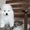 Белоснежный щенок самоеда от родителей Чемпионов - Изображение #2, Объявление #1343177