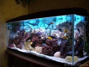 Изготовление и продажа аквариумов - Изображение #2, Объявление #143149