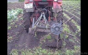 продается картофелекопалка роторная, однорядная, плуг, окучник для тракторов Т-2 - Изображение #2, Объявление #494896