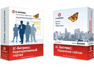 Разработка сайта Битрикс интернет магазин недорого в Перми - Изображение #1, Объявление #1680125